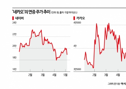 옆동네는 신고가 가는데…관세 무풍에도 '네카오' 울상