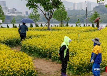 [포토] 구리 유채꽃 축제 개막