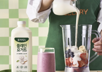 "값비싼 그릭요거트 직접 만든다"…짐승용량 '이 것' 불티 