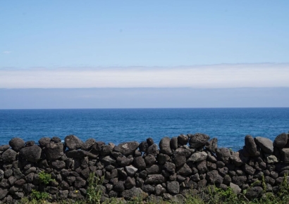 "바가지 없어요"…올 여름 제주 해수욕장 파라솔 2만원·평상 3만원