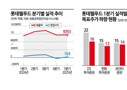 '코코아'에 발목 잡힌 빼빼로…롯데웰푸드, 수익성 '빨간불'