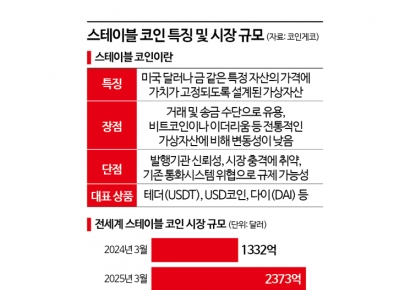 "스테이블 코인이 통화안정성 흔든다" 규제 목소리 잇달아