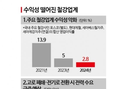 [단독]"원전 민간 참여 허용해달라"…철강업계, 전기료 폭탄에 '생존 해법' 요구