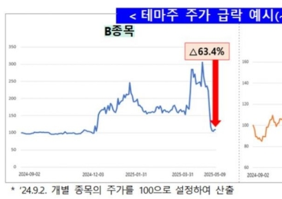 "고점 대비 30% 급락"…금감원·거래소, 정치 테마주 공동대응