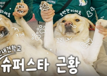 삼성화재, 유튜브채널 1년 만에 구독자 10배 급증