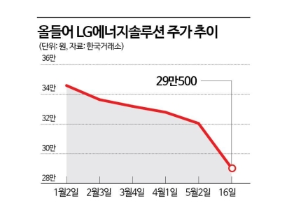 이차전지株, 줄줄이 신저가…멀기만 한 주가 회복