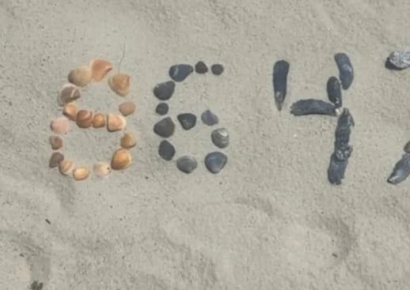 미국 뒤흔든 숫자, 트럼프 암살 신호?