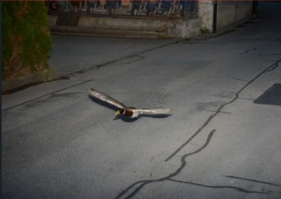 "7년 전에도 똑같이 과속, 만우절 장난이냐?"…난리난 사진 한 장