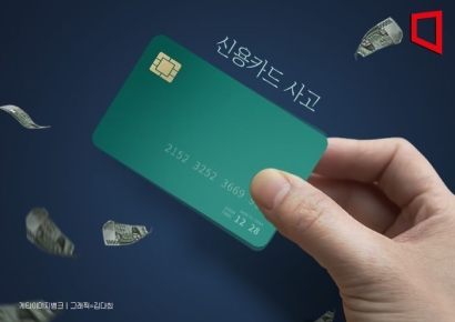 "카드도난 피해 입어도, 전액 보상 못 받을수도" 분실않는게 최선