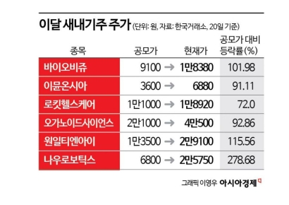훨훨 나는 새내기株, IPO시장 훈풍 기대