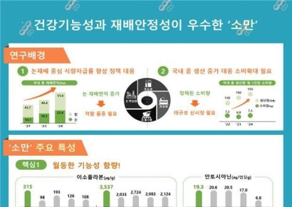 검정콩 '소만'서 암세포 증식 억제 효과 확인…농진청, 내년부터 종자보급 확대