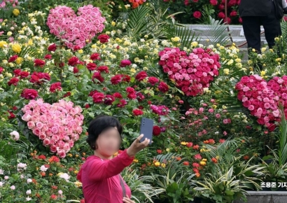 [포토] '사랑꽃'을 담아라