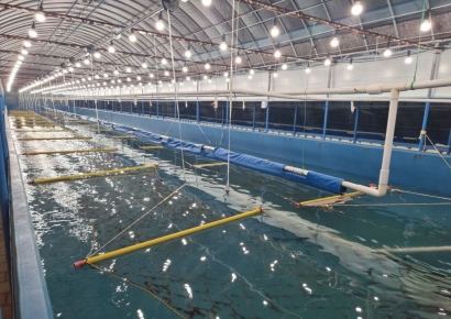 국민 반찬 '김'…AI가 육지서 만든다