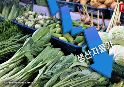 생산자물가, 6개월 만에 하락… 오이·양파 가격 '뚝'
