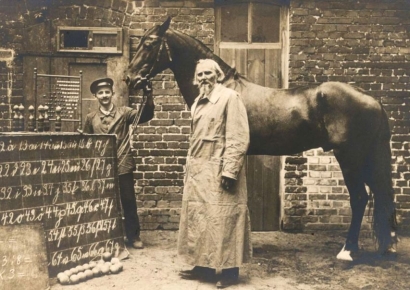 2+3의 정답을 맞힌 동물 지능의 비밀 [AI오답노트]