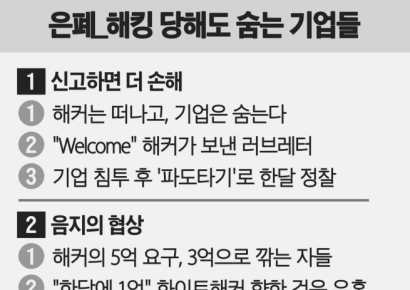 "100억 투자 날리느니 수억원 뜯기고 만다"…해커에 상납하는 기업들[은폐①]