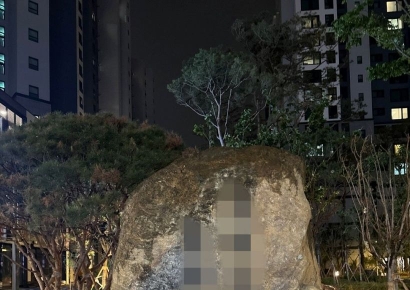 "이게 하나에 6000만원짜리 돌덩이?"…조경석 설치에 난리난 신축아파트
