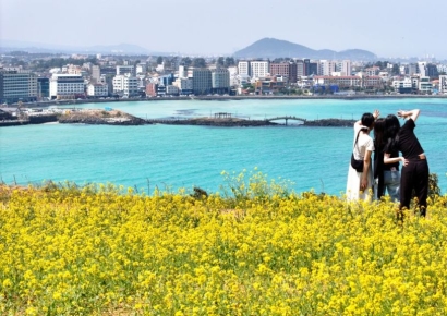 "수학여행 100만원, 동창회 200만원"…'바가지 논란' 제주 파격 카드