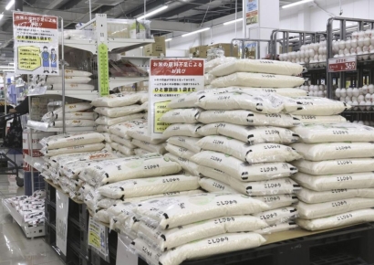 "2021년부터 조짐 보였다"…급격한 생산량 감소에 예견됐던 日 쌀 대란