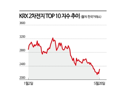 "머스크가 돌아왔다"…2년 웅크린 이차전지株 기지개