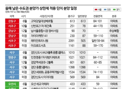 "서울 신축 34평이 9억대"…올해 남은 '로또청약' 분양가 상한제 단지 어디[실전재테크]