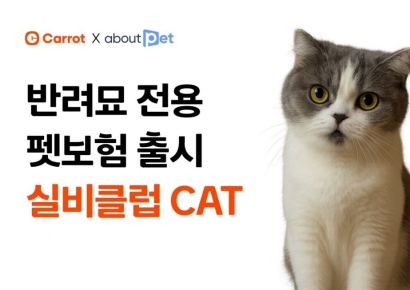 캐롯, 반려묘 펫보험 '실비클럽 CAT' 출시