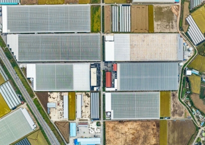 우듬지팜, '국내 최대 스마트팜 단지' 조성 착수…4.6만평 토지 매입