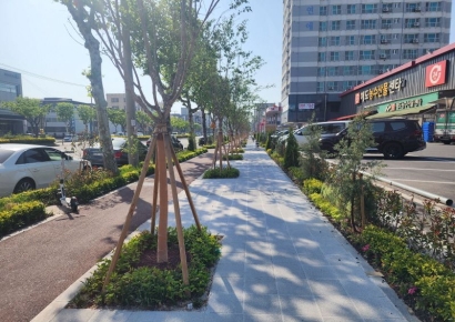 포항시, ‘포스코대로’ 걷고 싶은 거리 조성… 도시 활력 불어넣는다