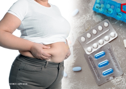 불타오르는 비만약 시장… 내년엔 한미·노보·릴리 3파전