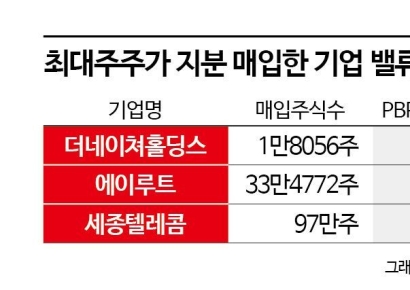 "최대주주 지분 매입은 호재"…저평가 신호에 주가 '꿈틀'