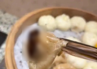 "너무 역겨워" 호텔서 조식 먹다가 '경악'…딤섬에 나타난 검은물체의 정체
