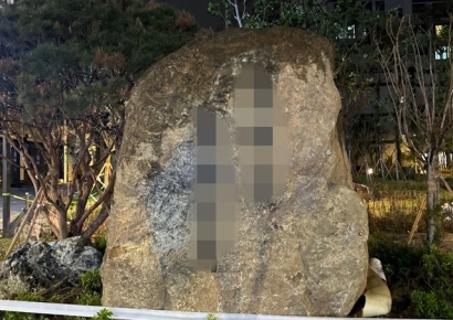 '조경석 논란' 조합 "설치 방침"…주민 "순찰대 결성" 반발