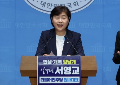 서영교, 오광수 민정수석설에 "모든 것 검토해 대통령께서 판단할 것"