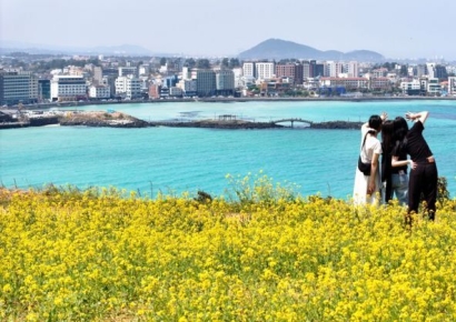 "바가지는 손절…그냥 일본 갈게요" 하더니 제주로 발길 돌린 관광객