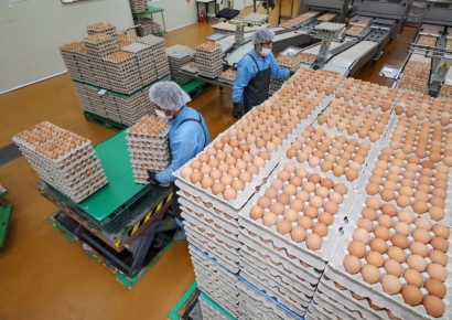 '고공행진' 계란값…8월까지 오른다