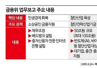 금융위 업무보고 키워드는 '소상공인, 첨단산업'