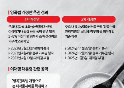 "목표는 쌀값 안정"…'남는 쌀 의무매입' 원점 재검토하나[새정부 정책현안]