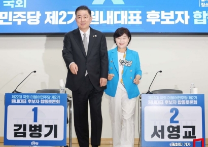 與, 집권 후 첫 원내대표 선거…당심 20%가 결정타