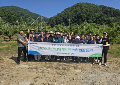 딜로이트 안진, 농번기 과수원 봉사로 도농 상생 실천