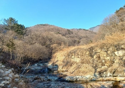 "커피 한잔 보다 싼 땅값"…3000원에 경매 나온 양산 농지