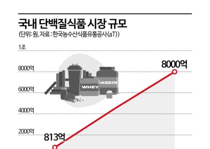 단백질 시장 6배 '벌크업'…식품업계 프로틴 전쟁 