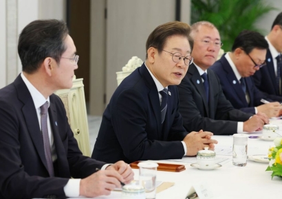 "경제계가 앞장서겠다"…기업 총수들, 李대통령 회동서 '대책 필요성' 강조
