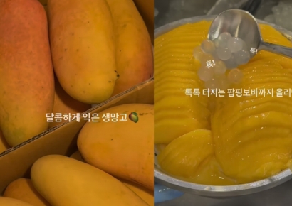 생망고 듬뿍, 가격은 1만원대…성심당 망고빙수도 '가성비'