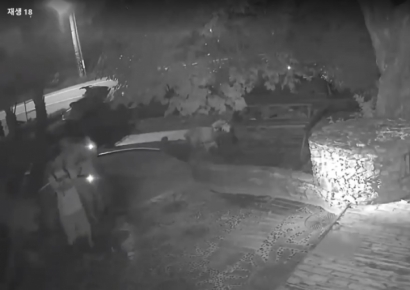 '눈 겨냥해 수차례 BB탄 발사' 반려견 학대한 20대 남성들, 결국 재판행