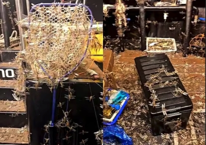 낚싯배에 몰려든 수 천 마리 잠자리떼…제주 앞바다에 무슨 일?