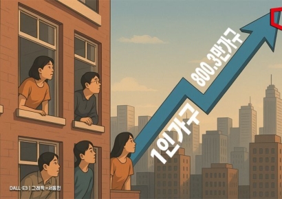 1인 가구 '역대 최대' 800.3만가구…"고령화와 결혼연령 상승 영향"