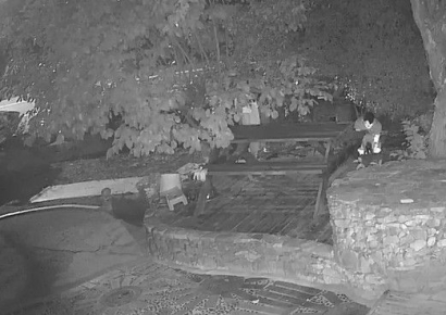 귀신잡는 해병이 비비탄으로 개를?…해병대 예비역들도 뿔났다