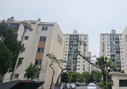 5년만에 리턴매치…대우VS삼성, 개포우성7차 정면승부