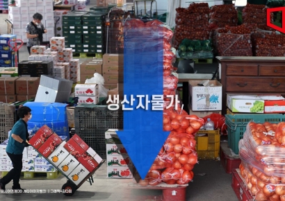 생산자물가 두 달째 하락… 참외·양파 전월比 '반값'