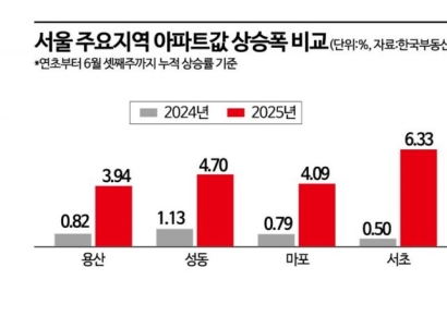 서울 불장에 전세·정책대출에도 DSR 카드…전문가 반응은